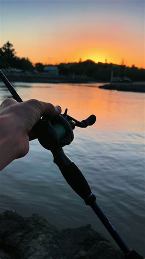 Nice bream smoking the micro jig!!! This fish went 39cm on the oceans legacy micro jig!!! Gear used: Rod: Daiwa td black wild weasel Reel: Shimano Stradic 2500 Line: 15lb braid-8lb leader Reel handle: Gomexus Lure: oceans legacy 6g micro jig!! @mavgilbert @Shimano Australia @Malosi Studio @DaiwaAustralia @Tackle World Australia @charliefishes0 @Black Magic Tackle @Gomexus Adventure @RapalaAustralia @Ocean's Legacy NZ @𝘼𝙡𝙚𝙭 #fishingaustralia #shimano #fypp #jigging #bream