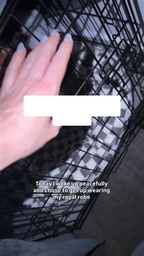 Wookie The Cocker Spaniel on Instagram: "another morning routine with my 6 month old cocker spaniel puppy 🫠😬🐻💭🌙🐾"