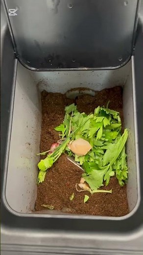 compost making machine for home #sustainablesolutions