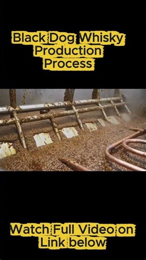 Inside a Massive Black Dog Whisky Factory – Full Production Process from Barley to Bottle