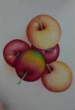 BEGINNER TO ADVANCED COLORED PENCIL BLENDING LIKE A PRO - STEPS LISTED #realism #coloredpencil