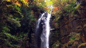 Serenity Falls: 1 Hour of Beautiful Waterfall Sounds for Relaxation