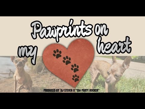 Pawprints on My Heart | Emotional Dog Memorial Song Tribute 🐾 (Dedicated to Diva – 23 Years of Love)