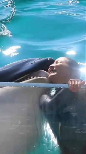 Dolphin Love: Viral TikTok Video of a Dolphin Falling in Love with a Human