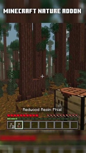 Better Minecraft Forests? Look at THIS! #minecraftupdate #swamp #naturecraft #minecraft #mod