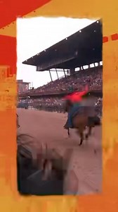 4.5K views · 52 reactions | The Commanding General's Mounted Color Guard continues to put on a show for the crowds at Cheyenne Frontier Days. Check out the video! U.S. Army Video by Spc. Kenneth Barnet U.S. Army | U.S. Army Forces Command (FORSCOM) | III Armored Corps | Fort Riley | 1st Infantry Division | Facebook