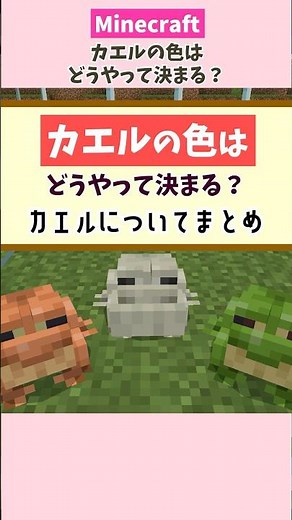 マインクラフトの「カエル」の色はどうやって決まる？生態まとめ！ #shorts #minecraft #gameplay #マイクラ #豆知識