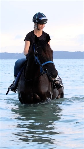 Back in 2021, Aegon won the Karaka Million 3YO Classic with Hanna Örting as his strapper. Now retired and living with Hanna, he’s still her favourite, enjoying beach walks and hacks while Hanna trains the next generation. 💗🏇 | LOVERACING.NZ