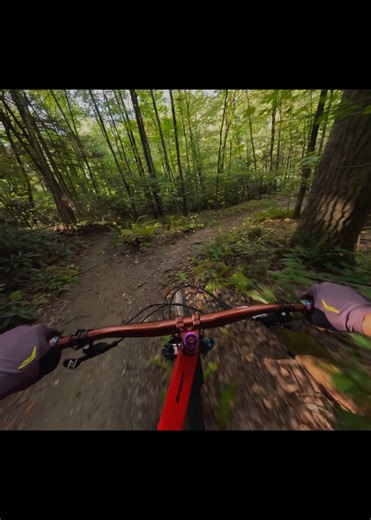 How Proper Bike Setup Improves Your Ride Experience