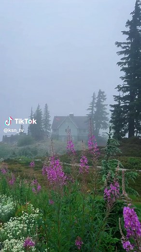 morning in the wilderness..