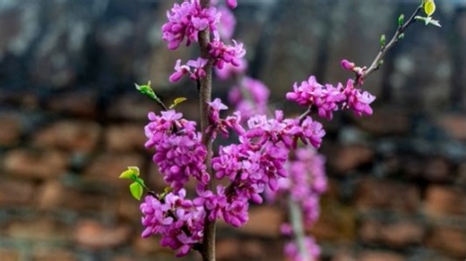 富士通空调维修中心|24小时全国统一售后受理中心电话4008899746