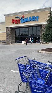 Traded the fake gold fish for a real one😂 | Southern Sketch Comedy