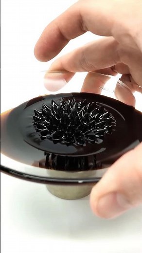 ‎Top 3 Useful Gadgets for Science Lovers in 2025 #useful #gadgets #2025