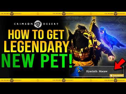 Crimson Desert - How to Get HYACINTH MACAW New Legendary Bird Pet Guide (1.05.00 Update New Pets)