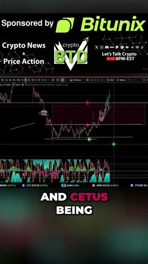 Sui Ecosystem & Cetus DeFi: Your Diversification Strategy #shorts