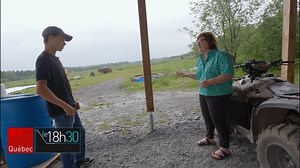 À Saint-Honoré-de-Shenley, en Beauce, Édouard Binette entame la récolte des fleurs d'ail qu'il a planté à l'automne. La journaliste Allison Van Rassel est allée à sa rencontre. | ICI Québec