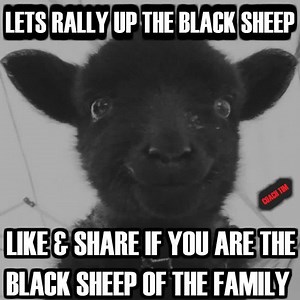 8.3M views · 239K shares | If you or a loved one suffer from substance abuse, message us. We can help! | Coach Tim | Facebook