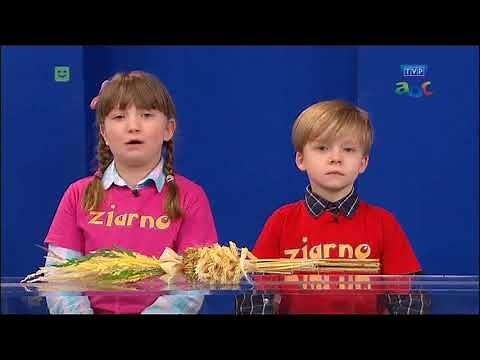 Kronika Wielkiego Tygodnia. Ziarno.