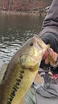 Announcement on the future of The Little Stuff.