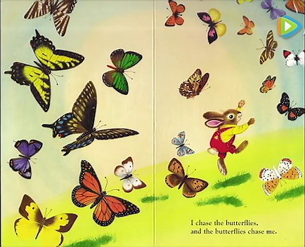 经典英文绘本 I am a Bunny