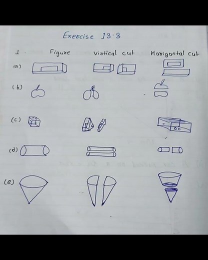 ll Visualising solids shapes ll Class 7 ll Maths ll Exercise 13.3 ll