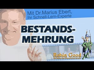 Buchung der Bestandsveränderungen, Fall: Bestandsmehrung