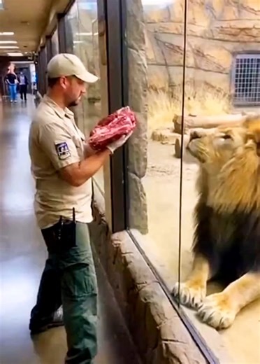 #ai #wildlife #storytelling #viralvideo #fyp @SS7