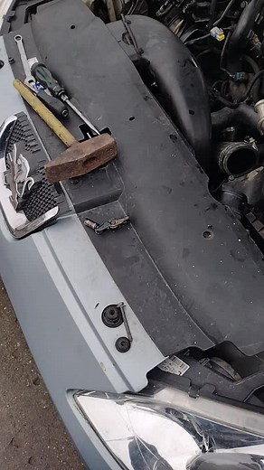 Când își pune omul distribuția acasă ! TikTok