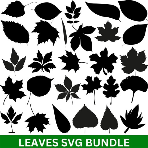 Autumn Leaves SVG Bundle, Maple PNG, Fall Clipart, Fern Vectors (digital Download) - Etsy