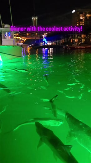 Enjoying Great Food and Drinks at 15th Street Fisheries