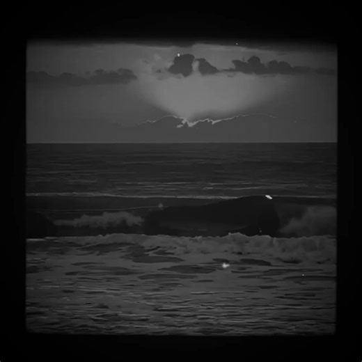 Sənədə halal olsun🍂/ #tekqeminle #şeirlər #keşfetdeyiz