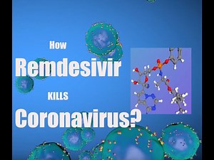 [COVID-19 and Remdesivir animation] How Coronavirus replicates and How Remdesivir works?