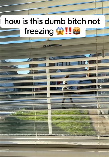 Stay Warm This Winter with Fleece Lined Tights