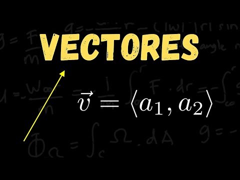 ¿QUÉ es un VECTOR y PARA que SIRVEN?