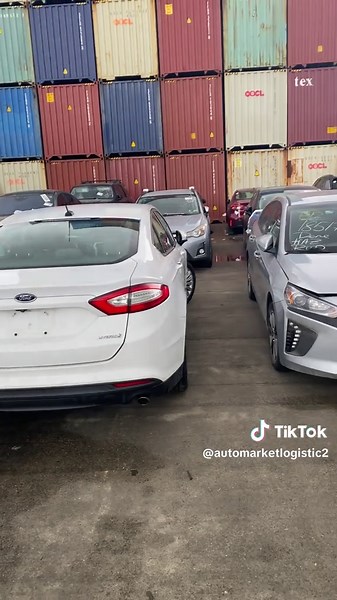 ნოდარ გოგორიშვილი on TikTok