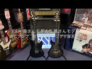 【ESP】the GazettEの麗さんモデルと葵さんモデルの弾き比べ動画です