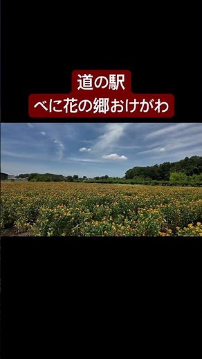 花が咲く道の駅 べに花の郷おけがわ