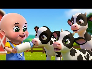 Baby Cow Feeding song | Animal Feed Old Macdonald song | Baby Cartoon and Kids Songs | Baby Bobo - Videos For Kids