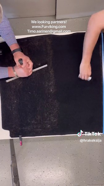 How to Spell Squeegee for Removing Pet Hair