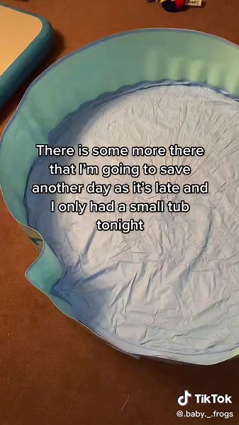 Rescuing Frogspawn and Tadpoles from a Drying Pond 🐸