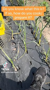 Share your recipes with our clean food, fresh, and organic loving/living community. You can do it here or in our recipe swap page if you are a CSA member. Not a CSA member yet? Check out rusticroadfarm.com for more info. FYI, this will be one of the vegetables in our CSA this week. #rusticroadfarm #rustic_road_farm #nofakefarms #organic #usa #illinois #produce #summer2025 #csa | Rustic Road Farm