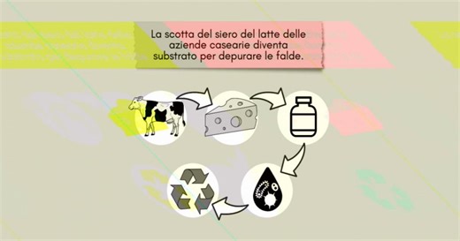 Il siero del latte per depurare le falde acquifere