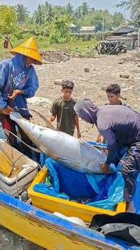 Amazing boat landing and awesome catch. Catching Big Tuna #fishing #tunafishing