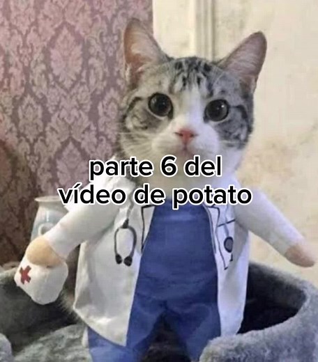 lean la descripción puse