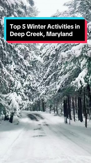 Deep Creek Lake , Maryland is a winter wonderland! Check out the top things to do in winter :⛷️ Ski & Snowboard at Wisp Resort 🌨️ Swallow Falls has 4 snowy waterfalls that sometimes freeze completely over in winter 🛷 Snow tubing at Wisp and sledding at Herrington Manor State Park 🎿 Snowshoeing and cross country skiing at the State Parks 🐴 Horse Drawn Sleigh Rides are offered at 2 of the local stables 🚲 Ride Fat Bikes through the snowy forests ✨LINK IN BIO✨ for more winter fun in Deep Creek 