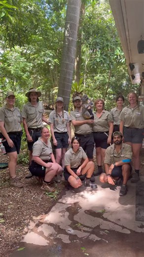 Happy New Year from Kevin the koala and all of us at Lone Pine! ✨ As we head into 2026, we’re proud to continue our work protecting our amazing wildlife and the environment by educating and helping people connect with nature. Thank you for your ongoing support! 🐨💚 #lonepinekoala #visitbrisbane #brisbane #mybrisbane #queensland #thisisqueensland #seeaustralia #brisbanekids #queenslandtourism #brisbaneanyday #thingstodoinbrisbane #brisbaneevents #brisbanemums #brisbanefamilies #discoverbrisbane 