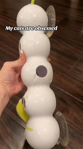 My cats are obsessed trying to catch the worm! Usbc charged. Smart sensor cat toy. Get it here: https://loklex.com/products/smart-interactive-cat-toy #cat #cattoy #catenrichment #catlife #tiktokmademebuyit | The Black Cat