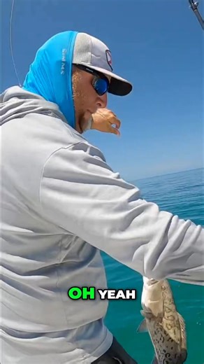 Shallow Water Gag Grouper Fishing #crystalriverfishingcharter #fishing #grouper #grouperfishing | Florida Fishing Adventures