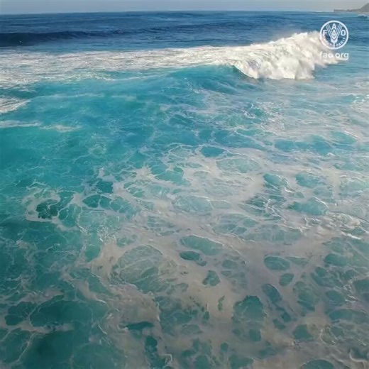 Oceans act as the largest carbon sink in the world.Oceans host 80% of life on earth.Oceans provide half of the world’s oxygenProtect them. #ActOnClimate#climate #energy #nature