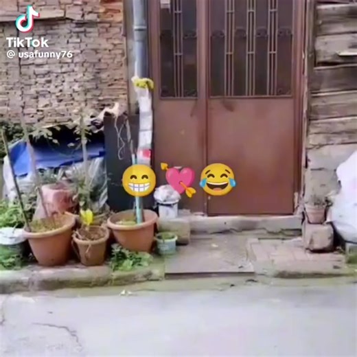 Seikou Bokum (@seikou.bokum2)’s videos with original sound - Seikou Bokum